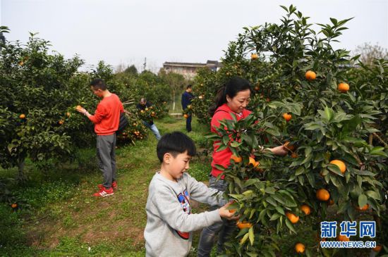 ����(j��ng)��(j��)����1���ָ����˰��ռ�