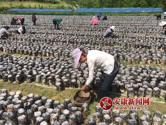 �h��(zh��n)�P�ܴ��ؚľ��ϲ�S��