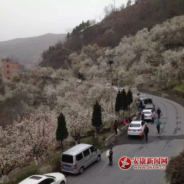 �?c��)뻨�������ܲ����?jpg