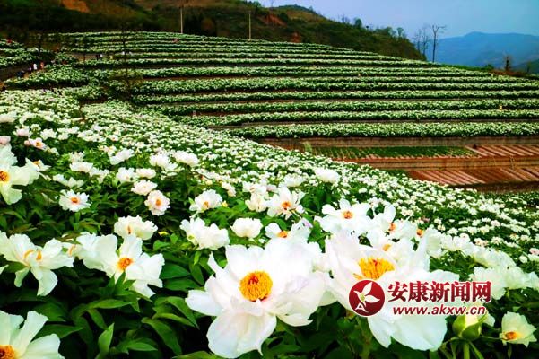 ꐘs�� �z��4.1��.jpg