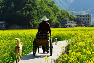 �l(f��)�F(xi��n)��ϣ����g����ˮȪƺ