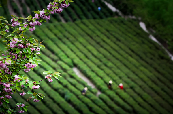 ������@���L(f��ng)��