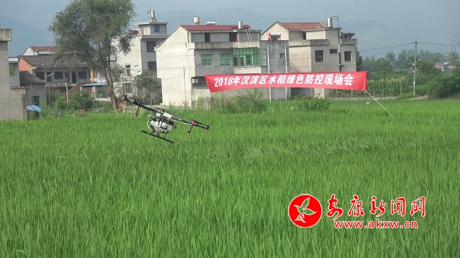 �o(w��)�˙C(j��)�@����  �����(n��i)æ�w��.jpg