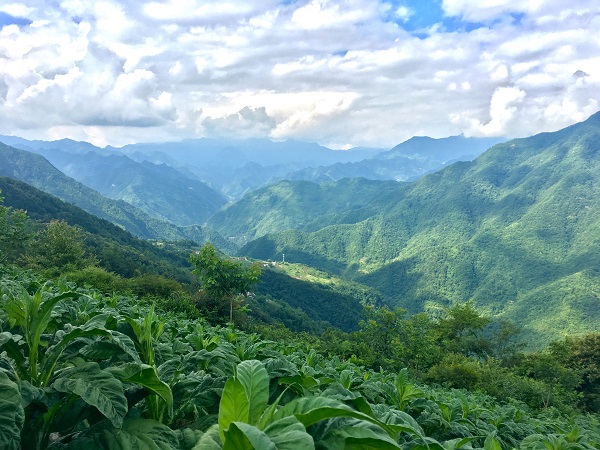 ��������\�C��