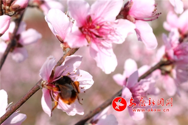 �����hꎣ�֦�仨���C�ɶ�