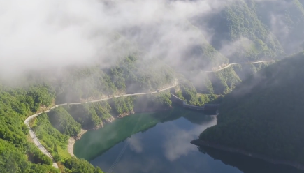 �(zh��n)ƺ����(g��)�����x������ɭ���l(xi��ng)�塱