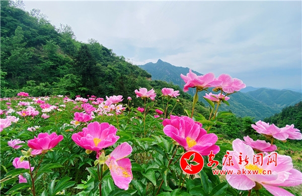 �������\