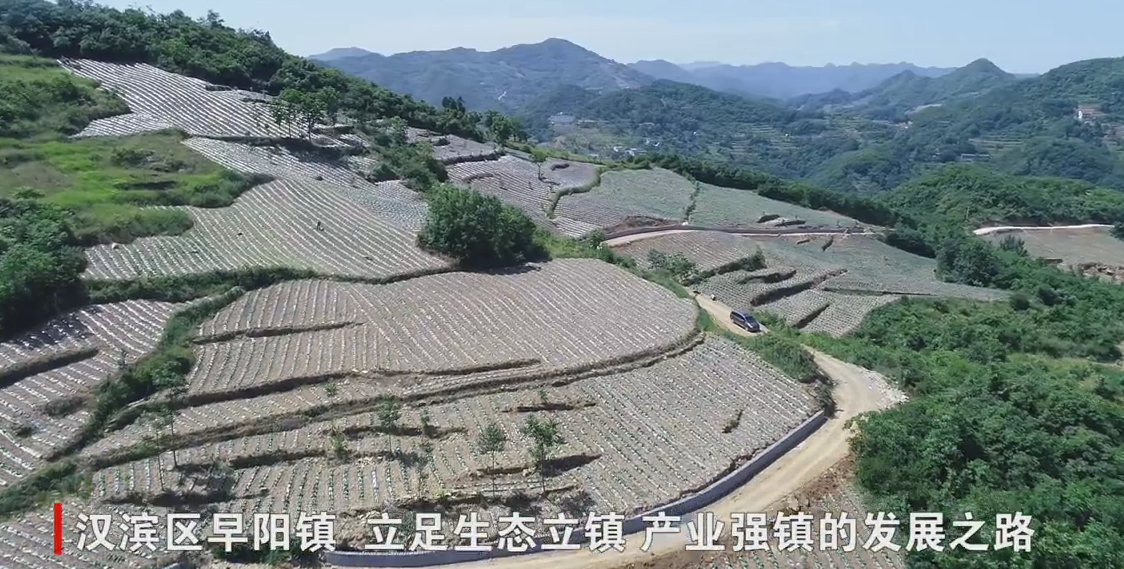 �h�I�^(q��)����(zh��n)�������l(f��)չ�����a(ch��n)�I(y��) �����l(xi��ng)�����d���A