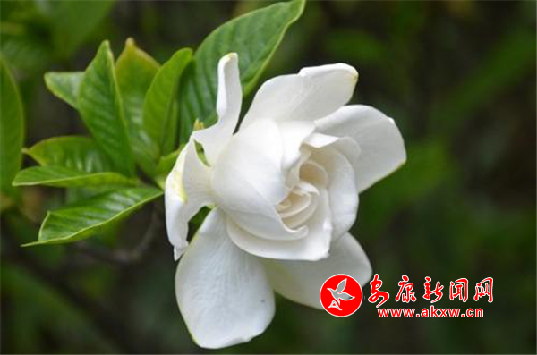 ���(l��i)�E��ɽ�^�^(gu��) �d�ӻ��_(k��i)�MԺ��