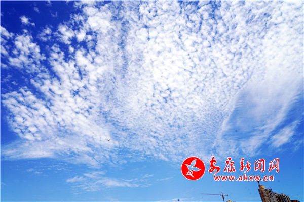 �{(l��n)�����ӳ����