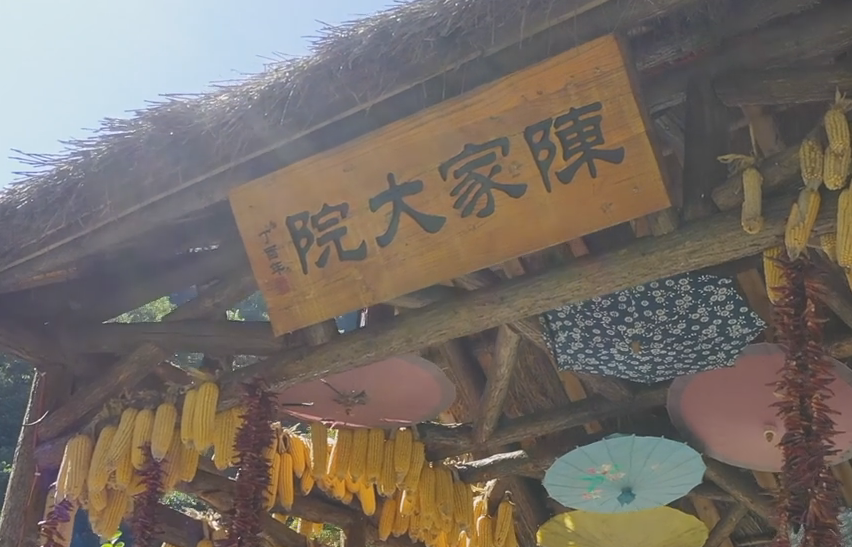 ҕ������ꐼҴ�Ժ�����l(xi��ng)������ ���w��r(n��ng)��������