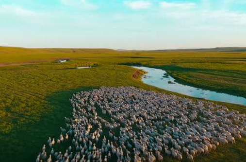 �ڰ������Ї�(gu��)��(m��ng)�����}��(chu��ng)���������\�CС����