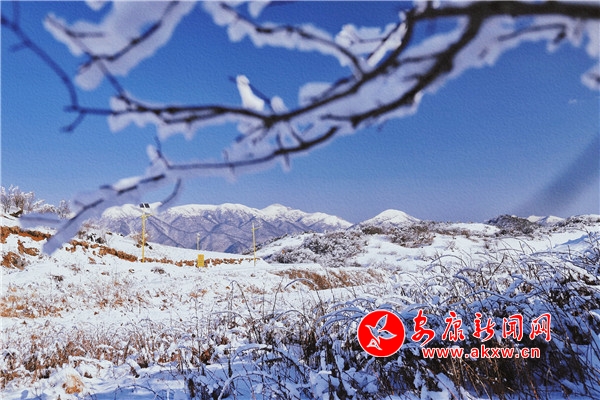 ���(y��ng)���������� �y�b�ع�������