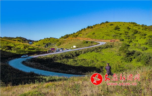 ���(y��ng)�ݵ��L(f��ng)��