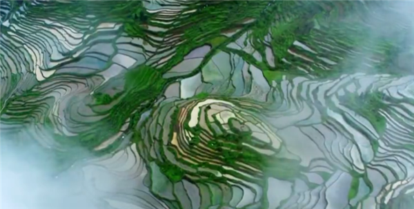 ȫ��(gu��)��Óؚ����(ji��n)����(y��u)��o(j��)�Ƭչ�����o(j��)�Ƭ�����Ӣ����Ϧ�������弯����������