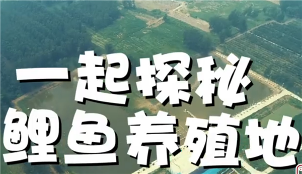 ȫ����Óؚ����(ji��n)����(y��u)��o(j��)�Ƭչ����ϵ�мo(j��)�Ƭ���ߴ�ֱ����Óؚ��֮��