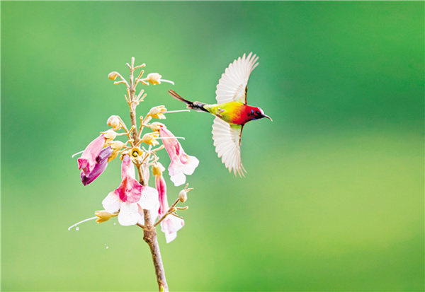 �c�B(ni��o)���� ���B(t��i)����