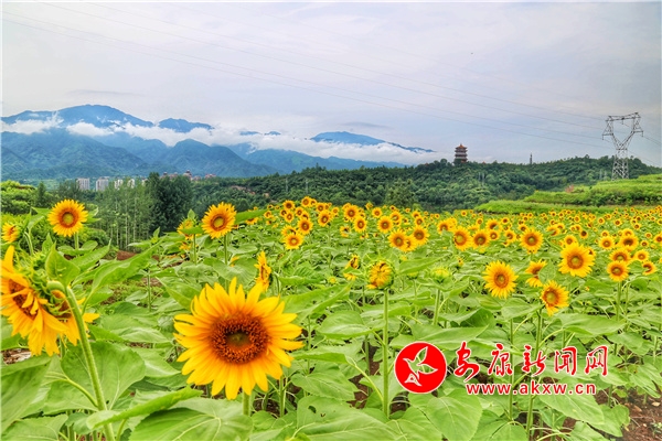 �hꎡ������@���ٮ��k���������箋(hu��)