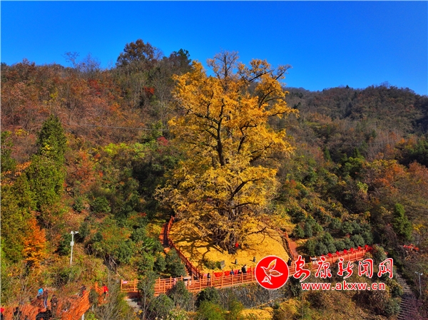 �׺ӿh�|�¹��y�Ә�(sh��)ӭ��(l��i)����^�p��