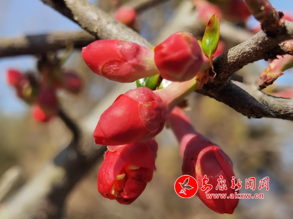 �����hꎿh���������_ ����u��