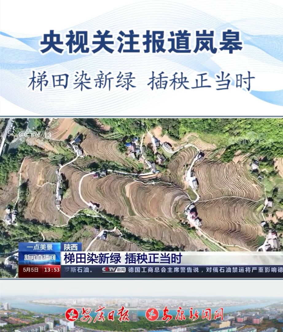 ��ҕ�P(gu��n)ע������޿h�όmɽ�(zh��n)�𻨴塪��������Ⱦ�¾G ��������(d��ng)�r����