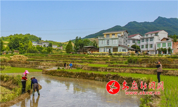 �h��P�߹����� �����r(n��ng)æ�����r