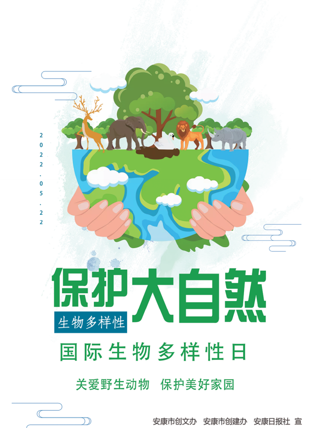 ���o(h��)����Ȼ