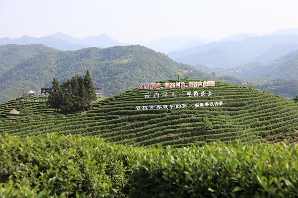 2023����(gu��)�H���ա��Ї�(gu��)����(ch��ng)���(d��ng)�ڼ� ��(gu��)��늾W(w��ng)ȫ�������