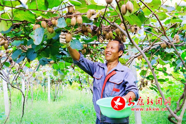 �𡰫J����(l��i)�u���^�����(zh��n)�J����ϲ�@�S��