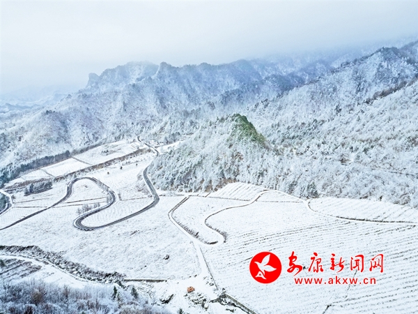 �y�b�ع�����ɽ