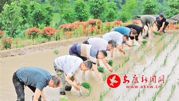 ��ץ�r(n��ng)�r����æ