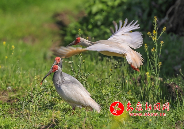 �hꎣ�ʢ�ĕr��(ji��) ���q��߅�{���ґ�