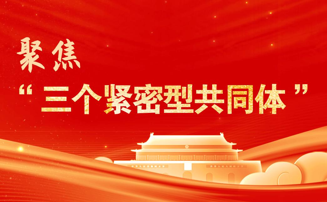 �۽�������(g��)�o���͹�ͬ�w��