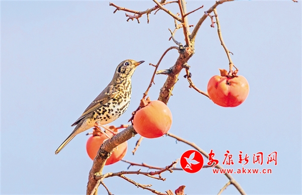 �������S�پG�r