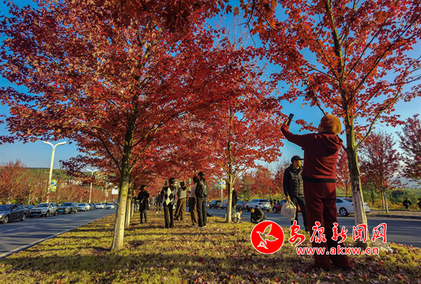 �t�~�^�p����(d��ng)�r