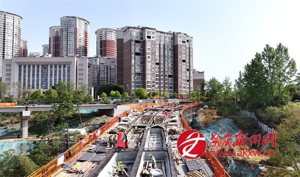 ����������Ŀʩ��æ