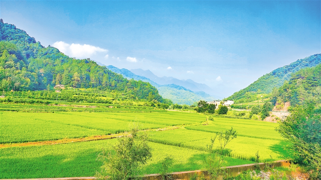 �����l(xi��ng)���L(f��ng)���箋