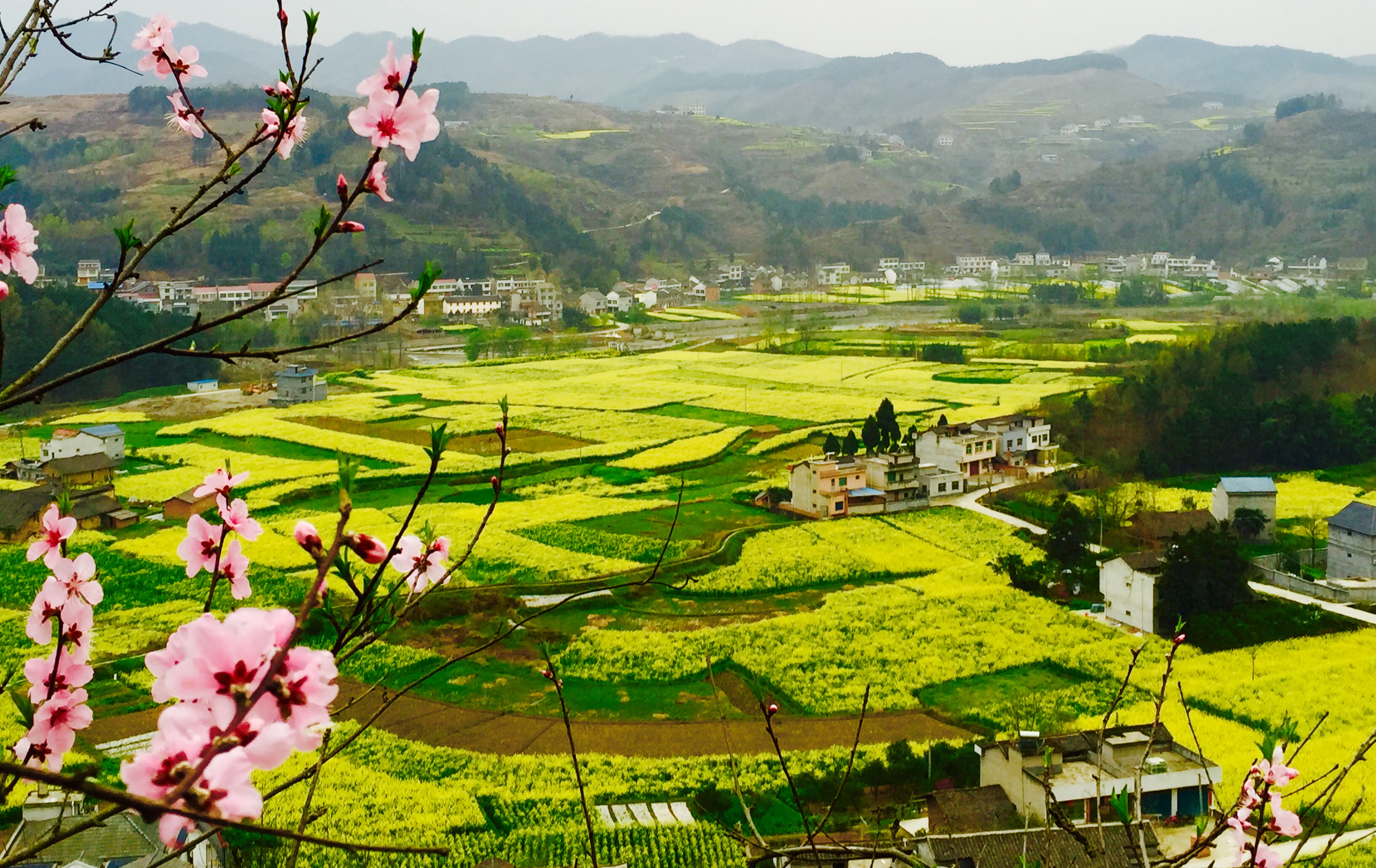 �������S����p����