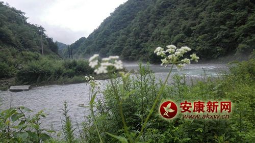 �l(xi��ng)���L��