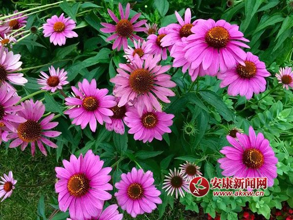 �������_�Ҹ���