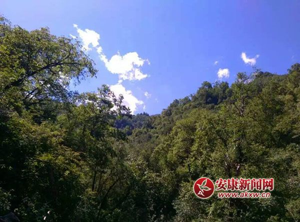 �{(l��n)���µ�ɭ��