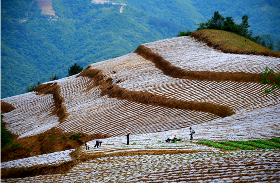 ʯȪ��Ϫ�(zh��n)�߸G��