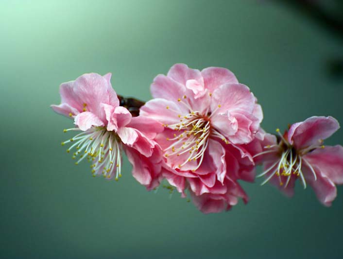 �l(xi��ng)����@�ٻ���