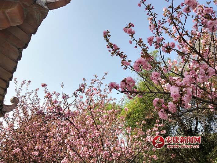 �����w�P