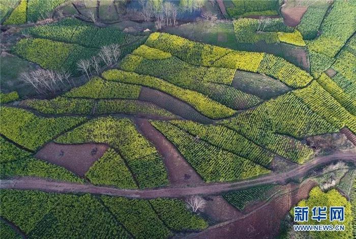 �������hꎽ�ɫ�Ͳ˻���