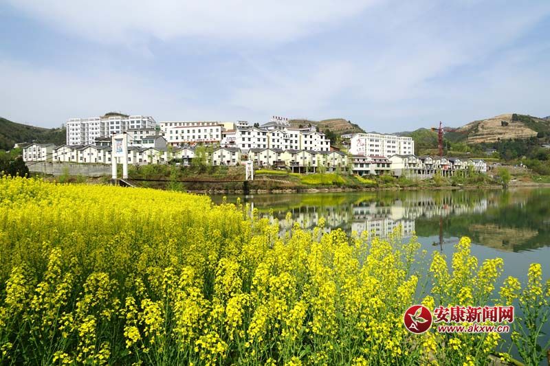 ���ش�����ͮ�