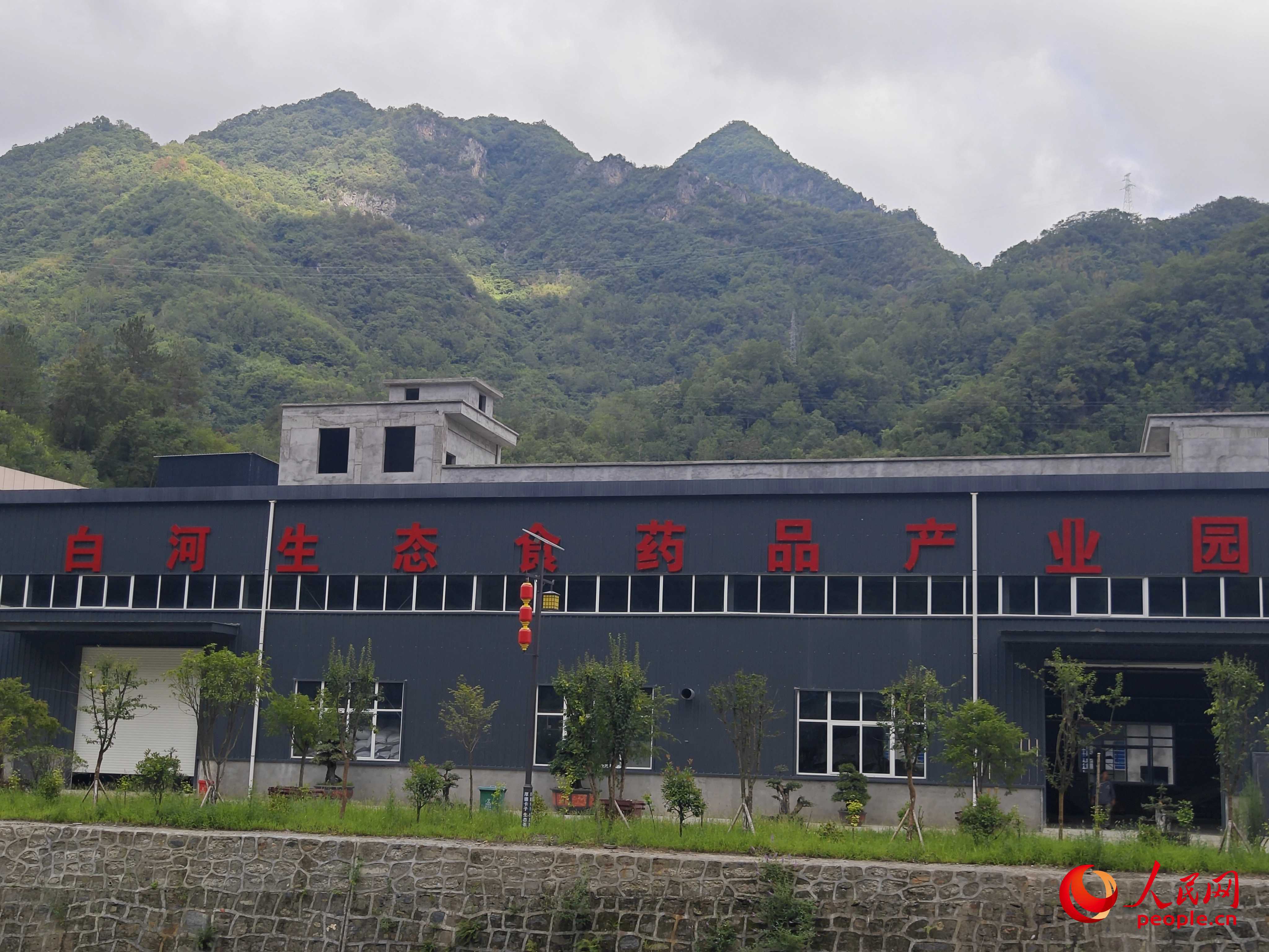 卡子鎮(zhèn)新建的社區(qū)工廠。人民網(wǎng)記者 黃鈺攝